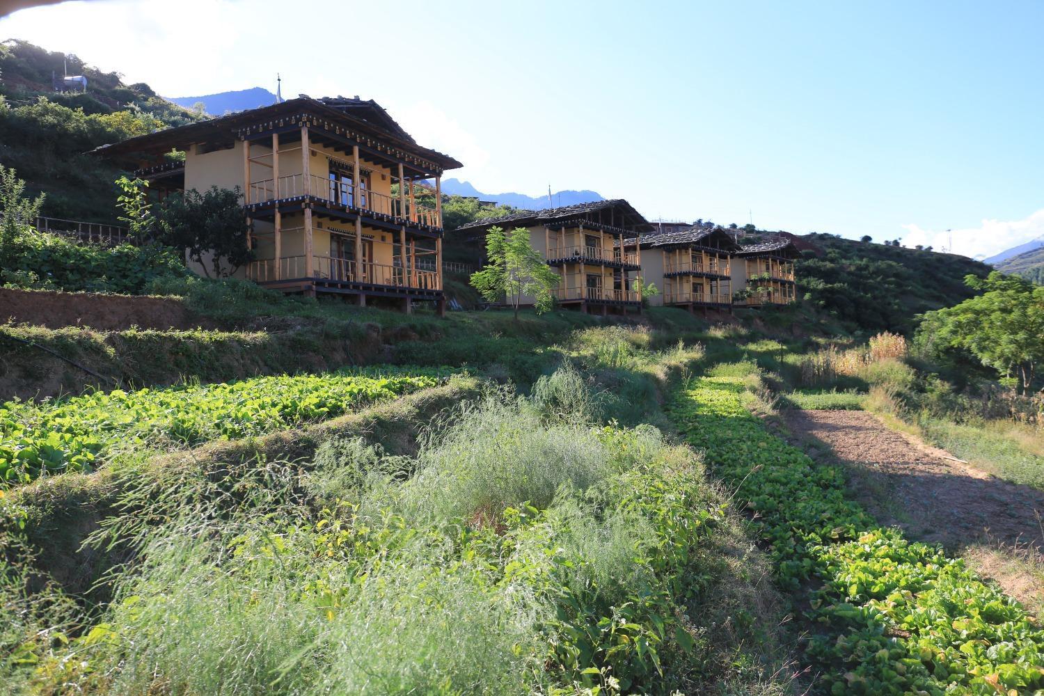 Wangdue Ecolodge Wangdue Phodrang Экстерьер фото