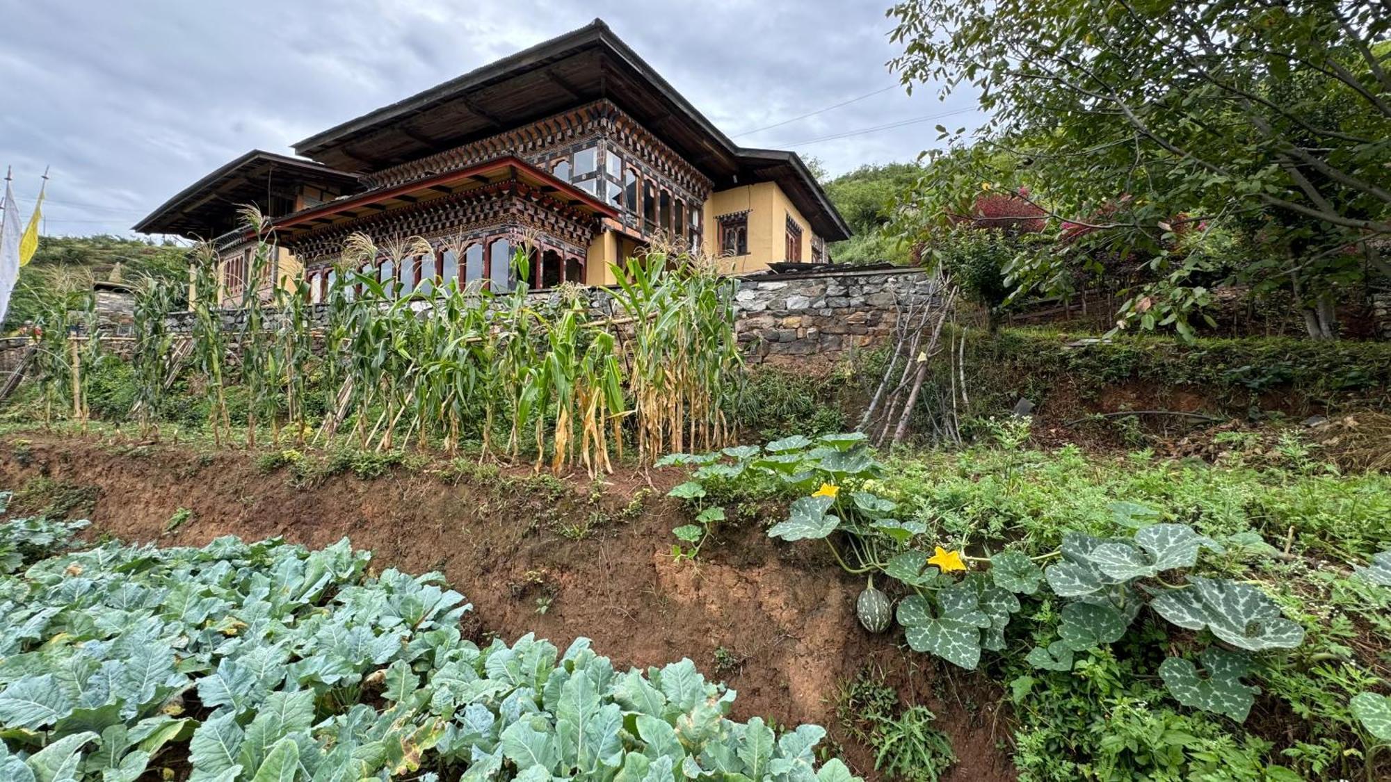 Wangdue Ecolodge Wangdue Phodrang Экстерьер фото